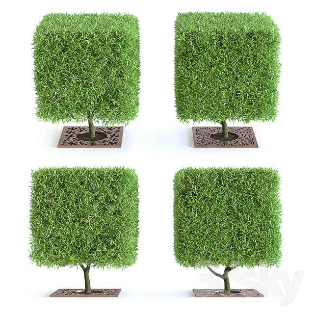 Willow brittle with decorative gratings Tree 3D Models