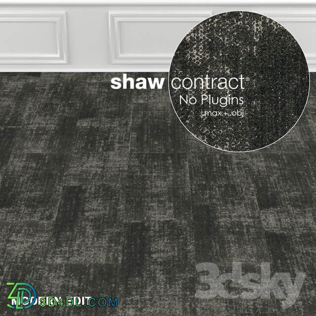 Shaw Carpet Intricate Wall to Wall Floor No 2