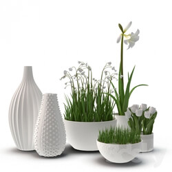Plant floral arrangement with vases 
