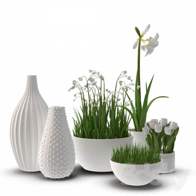 Plant floral arrangement with vases