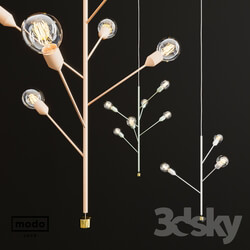 Fixture Baobab by Modo luce 
