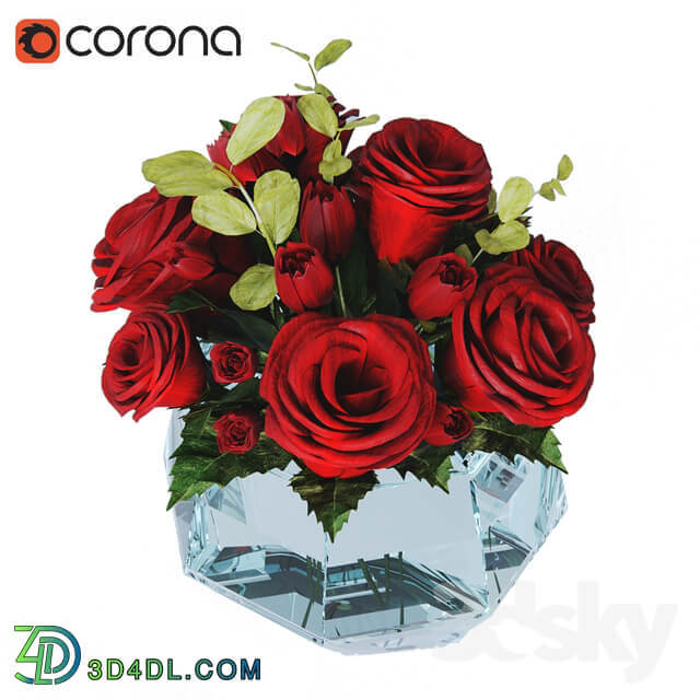 Plant Roses decorative