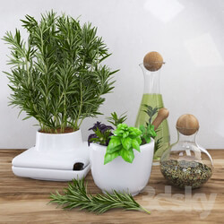 Decor with spicy herbs rosemary 