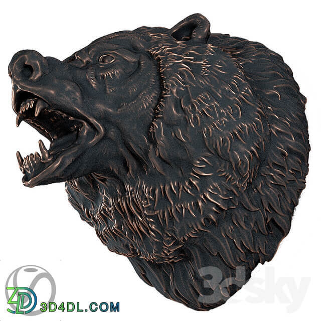 The head of a bear