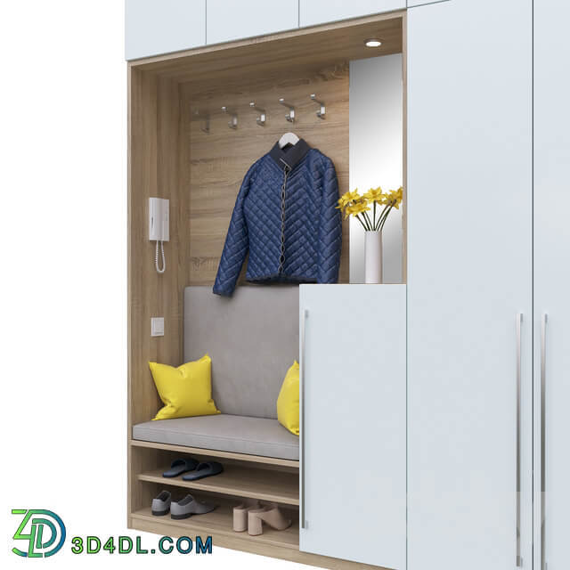 Wardrobe Display cabinets Entrance hall