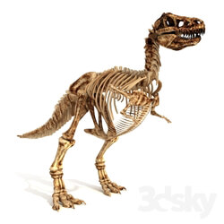 Skeleton of the Dinosaur Trex 