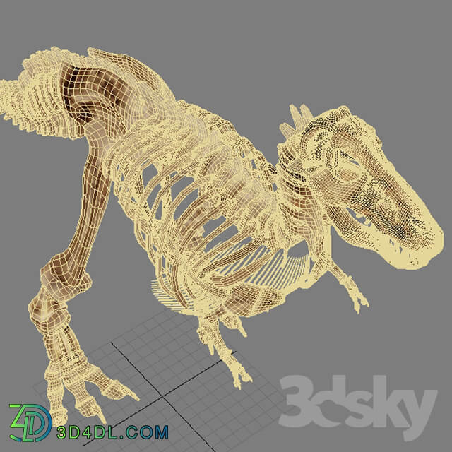 Skeleton of the Dinosaur Trex