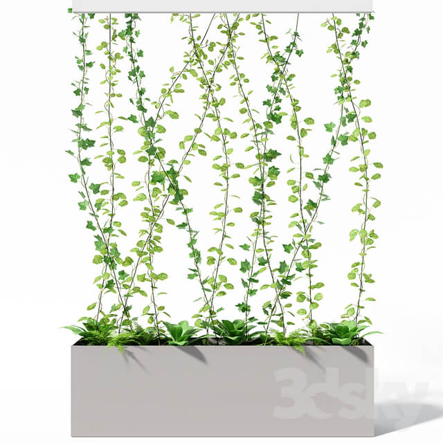 Plant partition plant