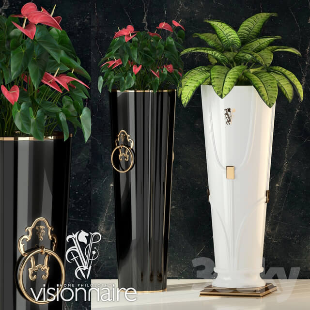 Plant Visionnaire Windsor Chantilly