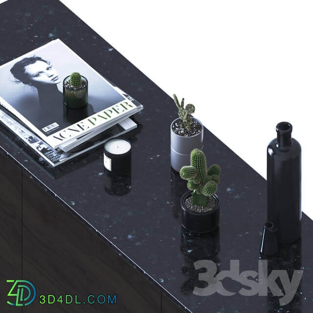 Sideboard Chest of drawer Decorative set with cactuses