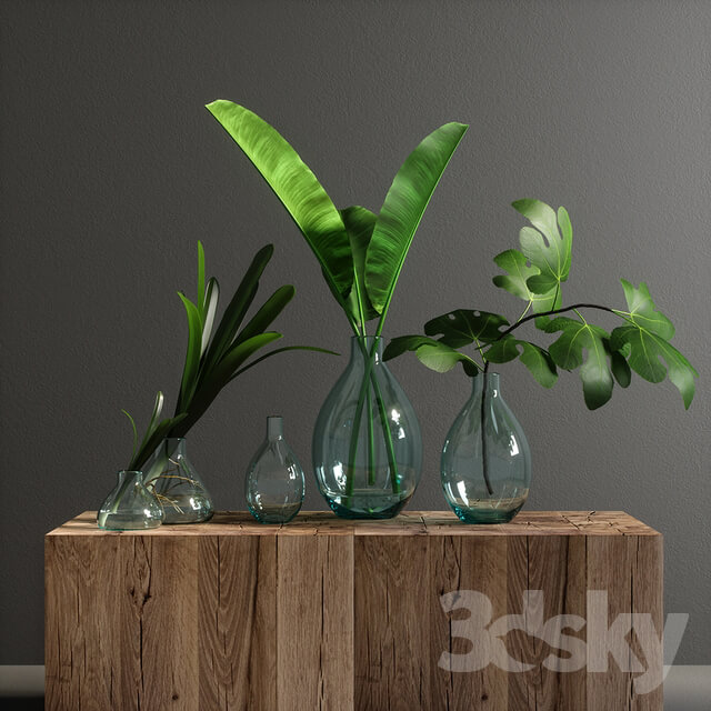 Plant decorative set 02
