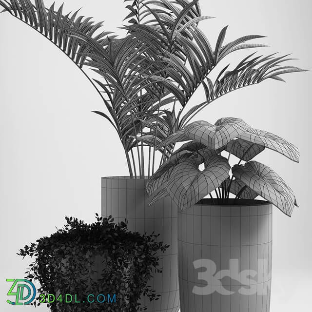 plants set 03 3D Models