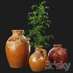 Pottery Barn Sicily Terra Cotta Vases 