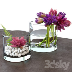 Plant Flower arrangement in a glass vase 