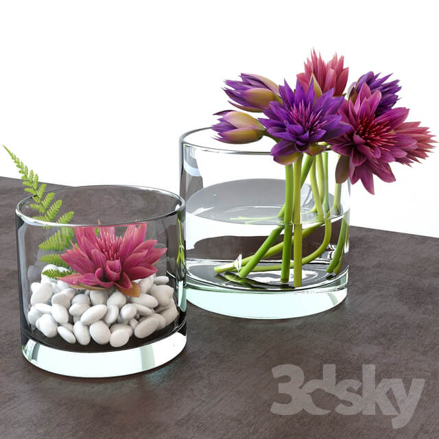 Plant Flower arrangement in a glass vase