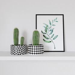 cactus and poster 