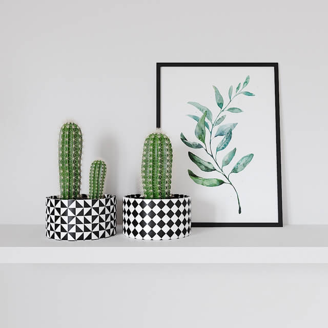 cactus and poster