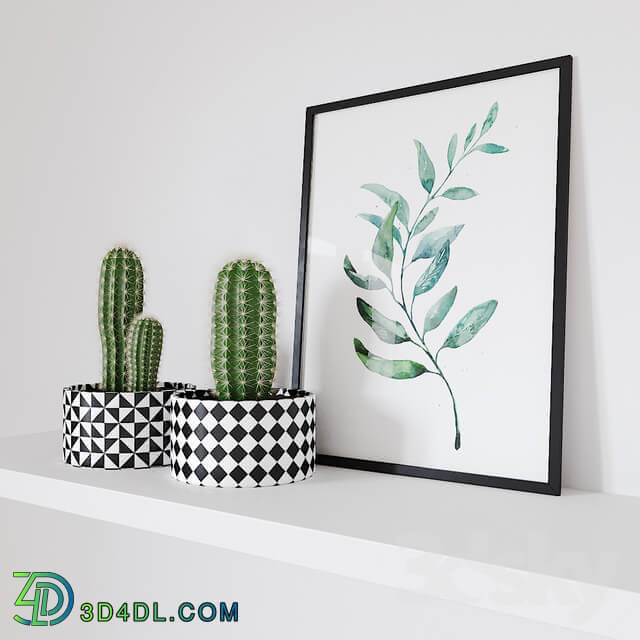 cactus and poster