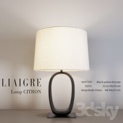 Liaigre CITRON Table Lamp 