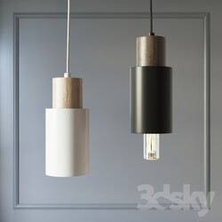 Lamp S05 and S05 spot Pendant light 3D Models 