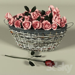 Plant Basket of roses 