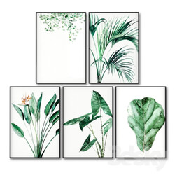 Posters with leaves of tropical plants. 