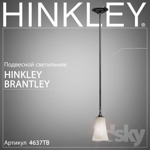 Hanging lamp Hinkley Brantley 4637TB