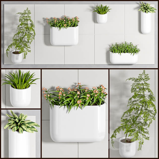 Plant PLANT SET 94