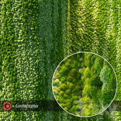 Wall from moss Fitowall 3D Models 
