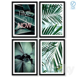 Collection of posters with palm leaves. 