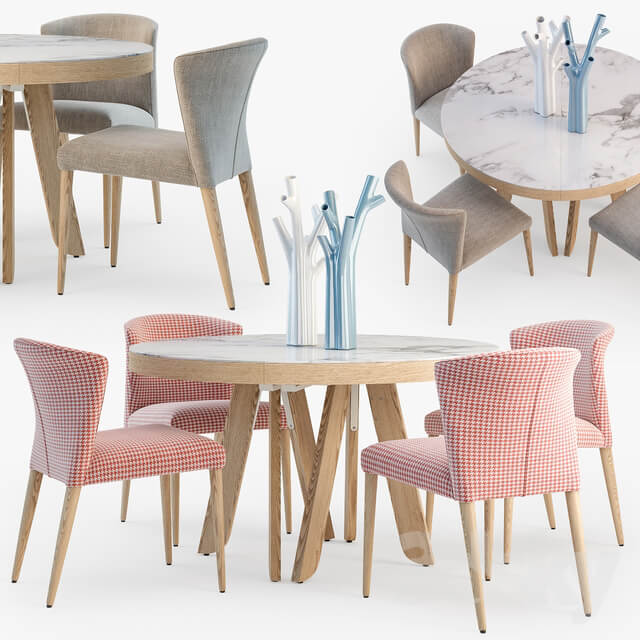 Table Chair Ligne Roset Satori table Circo chair set