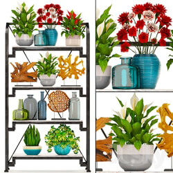 Decorative set. 8. Rack decor plants vase shelf with flowers Figurine 3D Models 