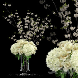 Plant White bouquet 