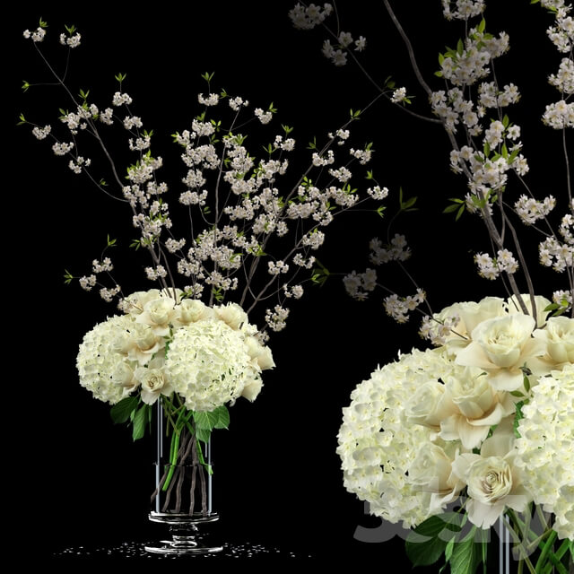 Plant White bouquet