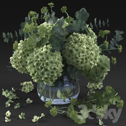 Hydrangea 3D Models 