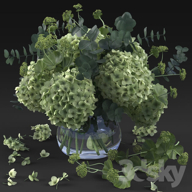 Hydrangea 3D Models