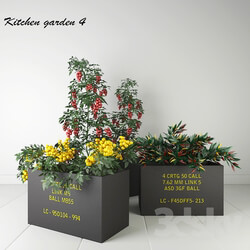 Ornamental garden 4 Indoor 3D Models 