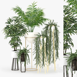 Plant Plant Set 02 