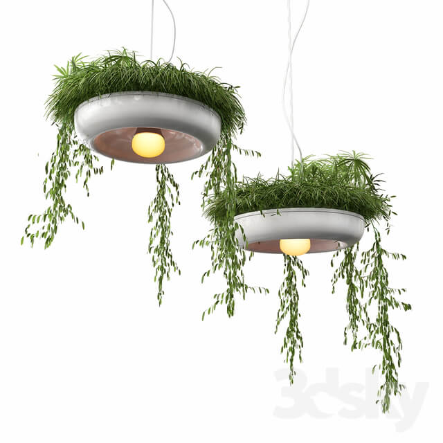 Chandelier with plants Pendant light 3D Models