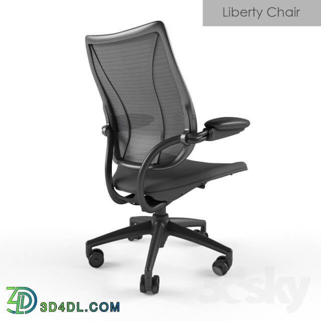 Humanscale Liberty Chair