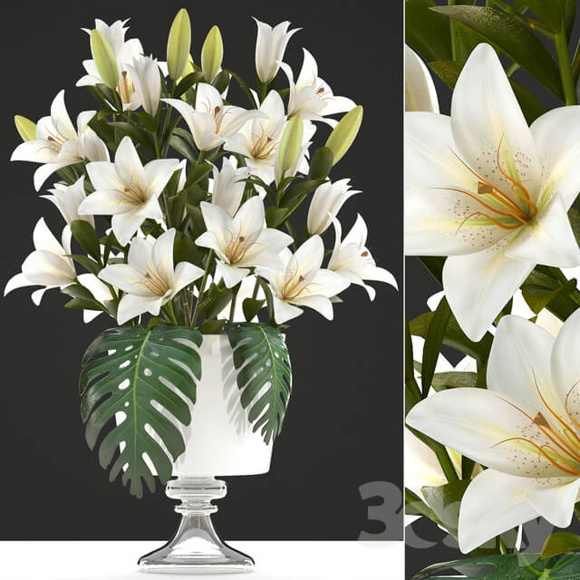 Plant Collection of flowers 51. Bouquet of lilies.