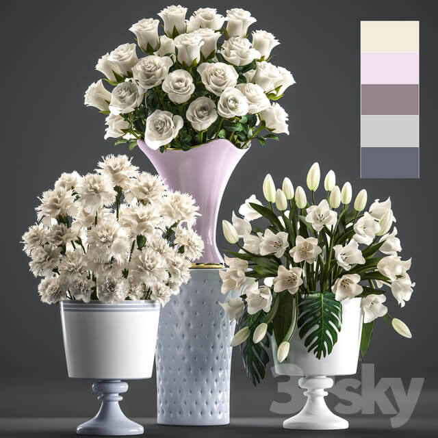 Set of white flowers 58. White bouquets pot flowerpot white tulips white roses carnation vase 3D Models