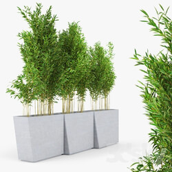 Twista Contemporary Modern Outdoor Planter Pot Bamboo Muriel 