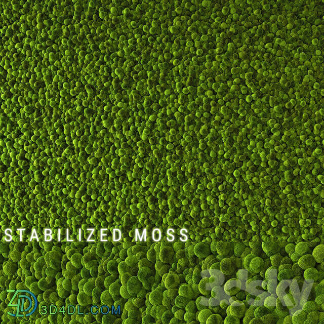 Fitowall Stabilized Moss 2
