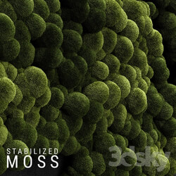 Fitowall Stabilized Moss 3 