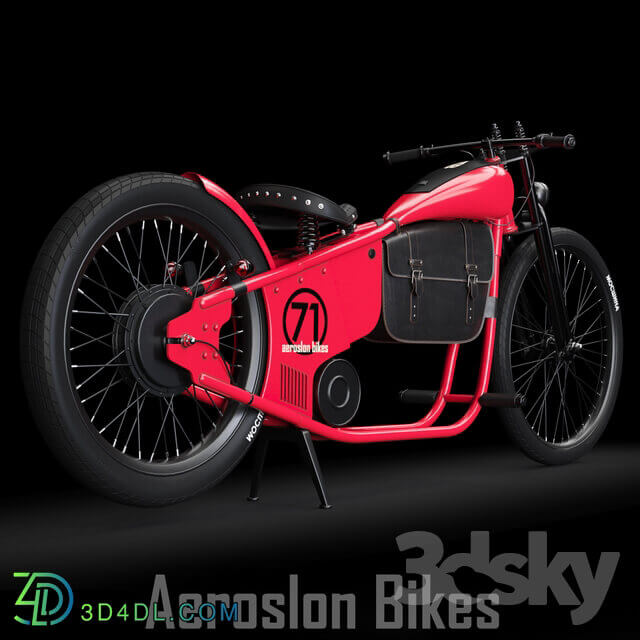 AeroslonBike HD 1975