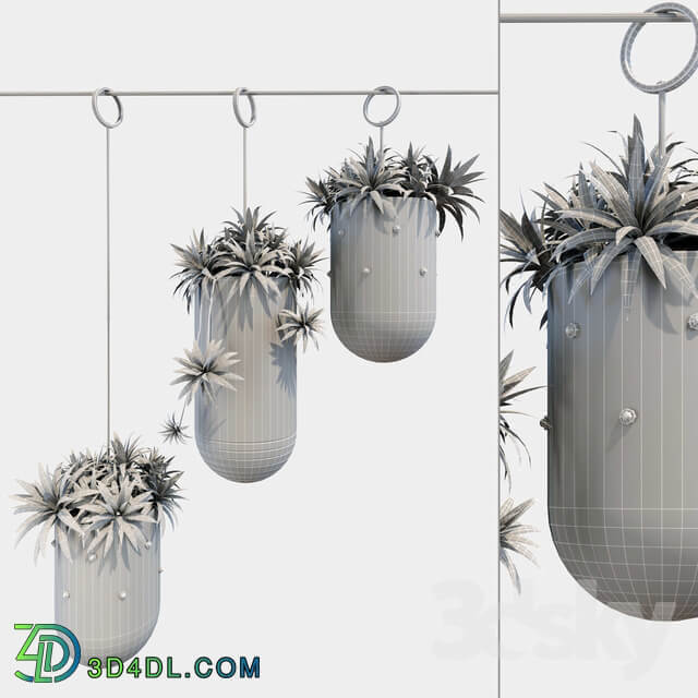 Decorative Hanging Metal Planter Set