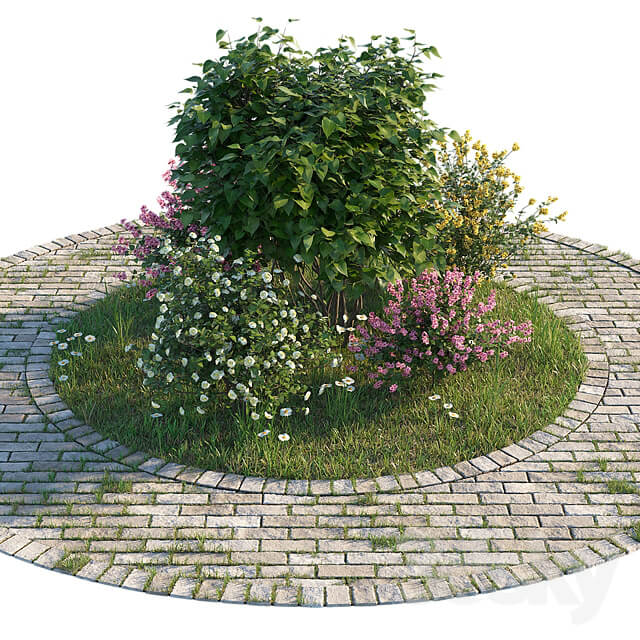 Flowerbed with bushes and grass