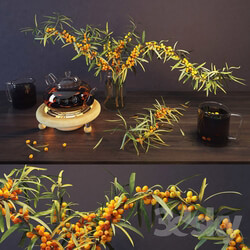 Sea buckthorn and kettle 