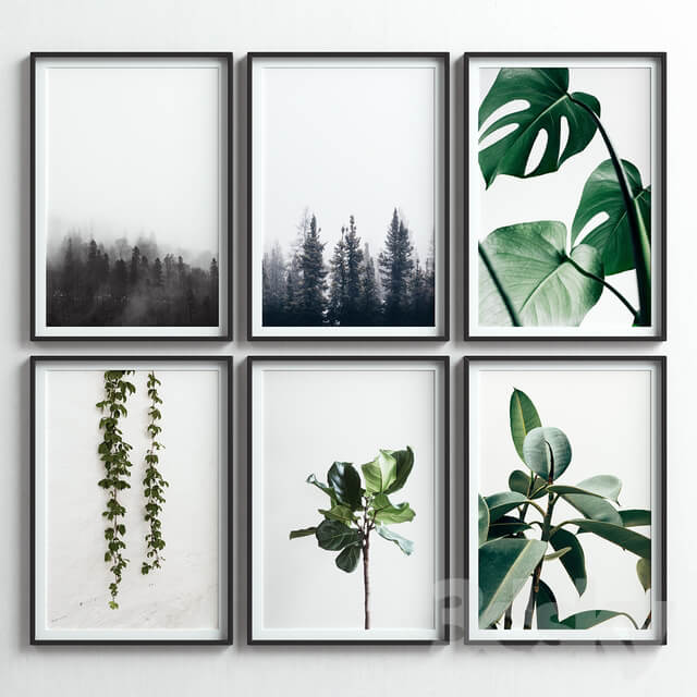 Picture Frames Set 47